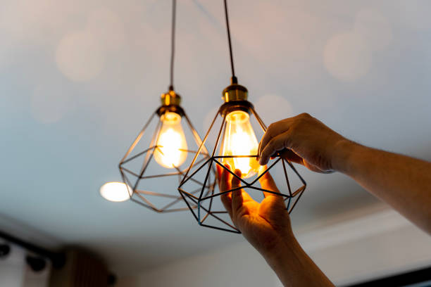 Best Electrical Contractors for Businesses  in Somonauk, IL