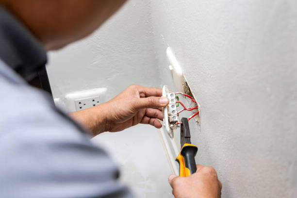 Best Local Electrician Companies  in Somonauk, IL