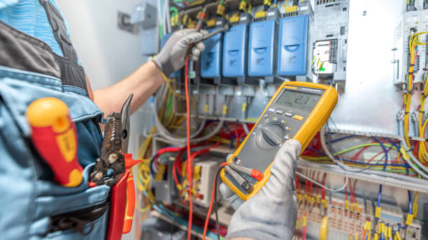 Best Affordable Electrician  in Somonauk, IL