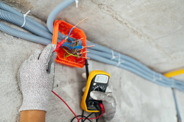 Best Industrial Electrical Services  in Somonauk, IL