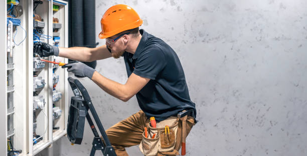 Best Electrical Troubleshooting Services  in Somonauk, IL